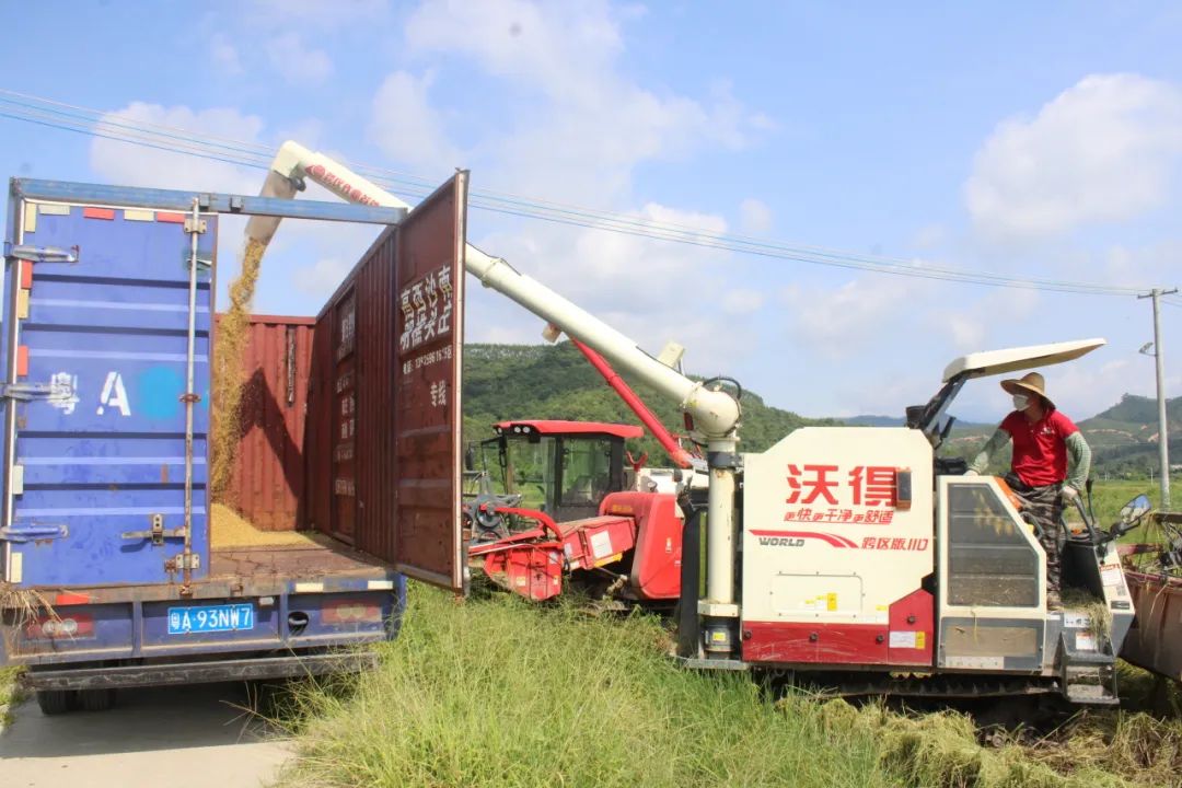 奋战百千万工程 | 全球最大的博彩平台
“社村”试点运作硕果累累！村集体收入增了，农民腰包鼓了